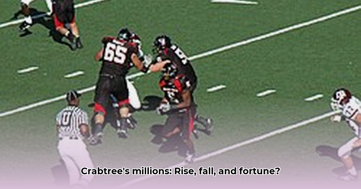 michael-crabtree-net-worth